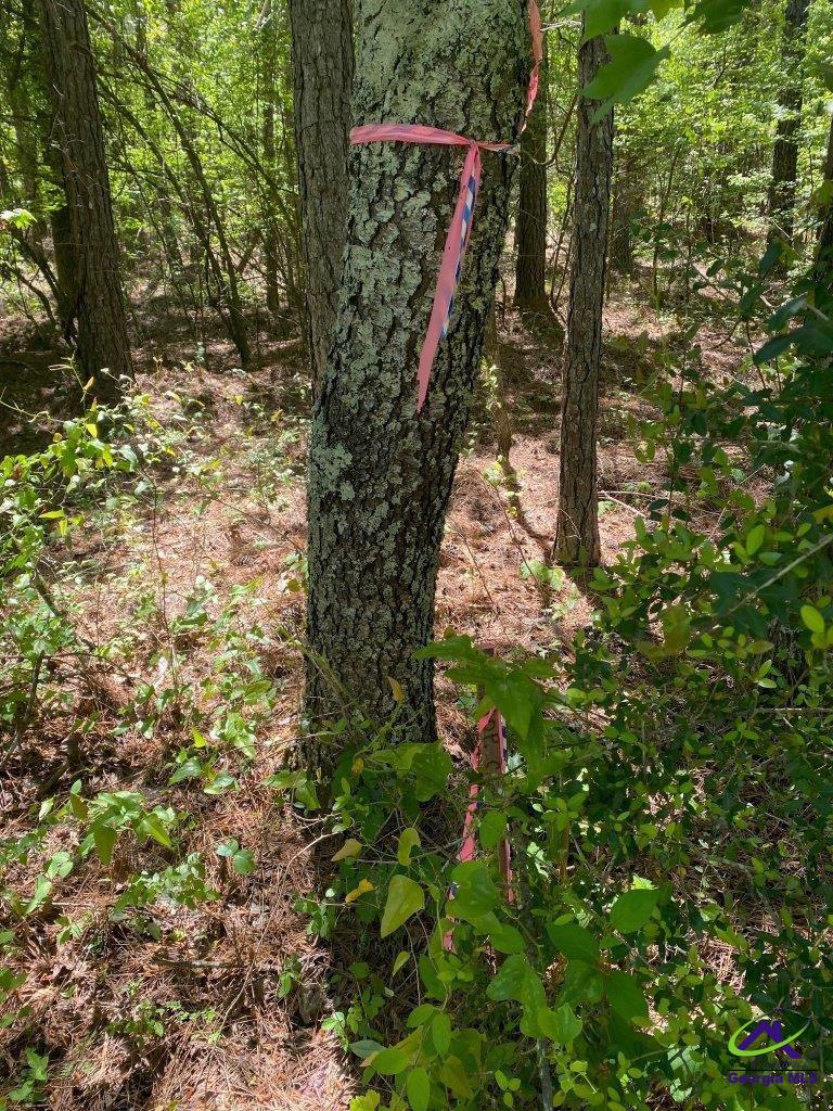 000 Maynards Mill Road