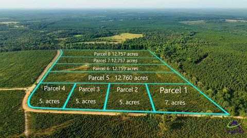 Parcel 1 Whipporwill Road Reynolds GA 31076