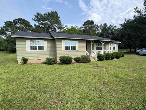 221 Croxton Road Montezuma GA 31063