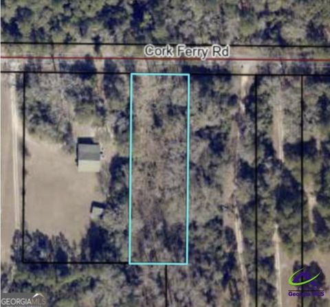 0 Cork Ferry Road Cordele GA 31015