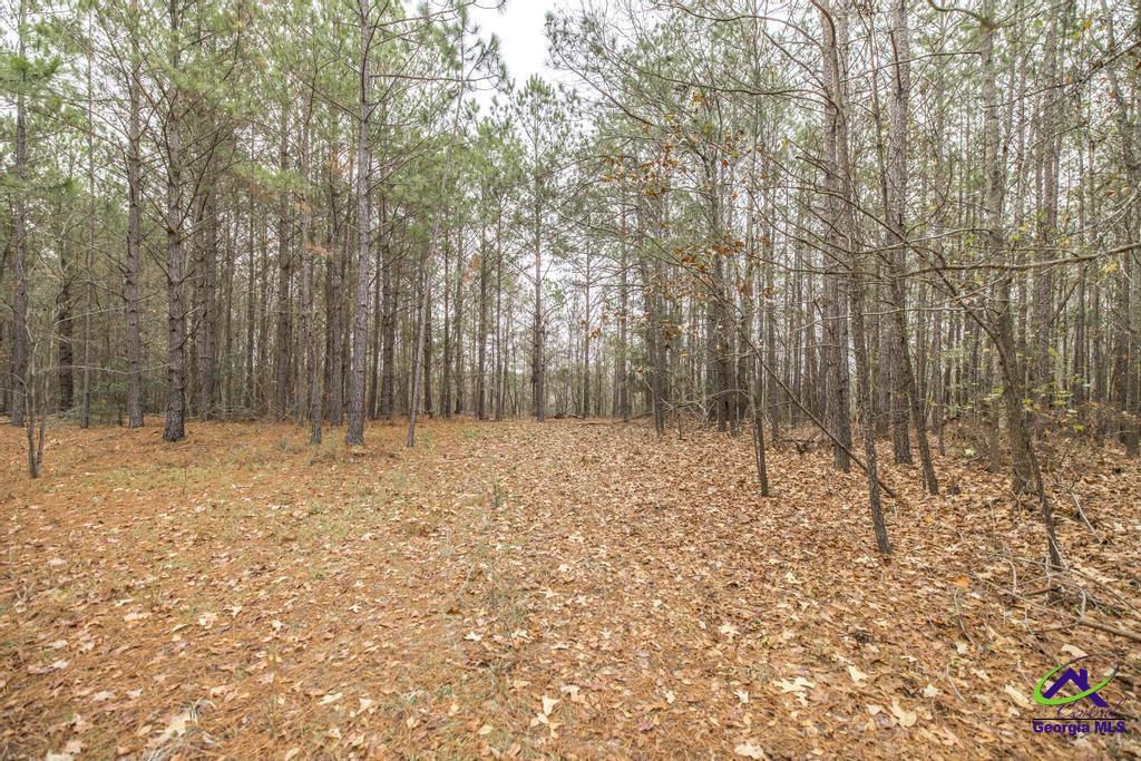 101 Mission Farm Road