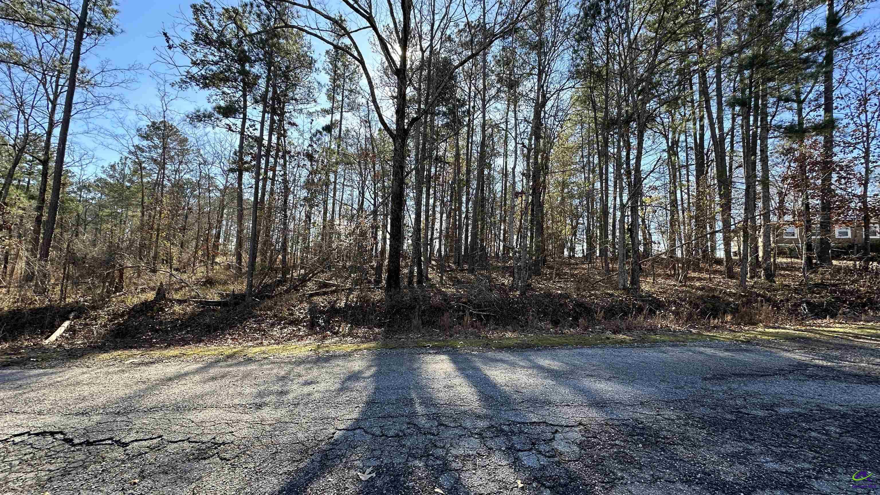 Lot 208 Anthemis Drive