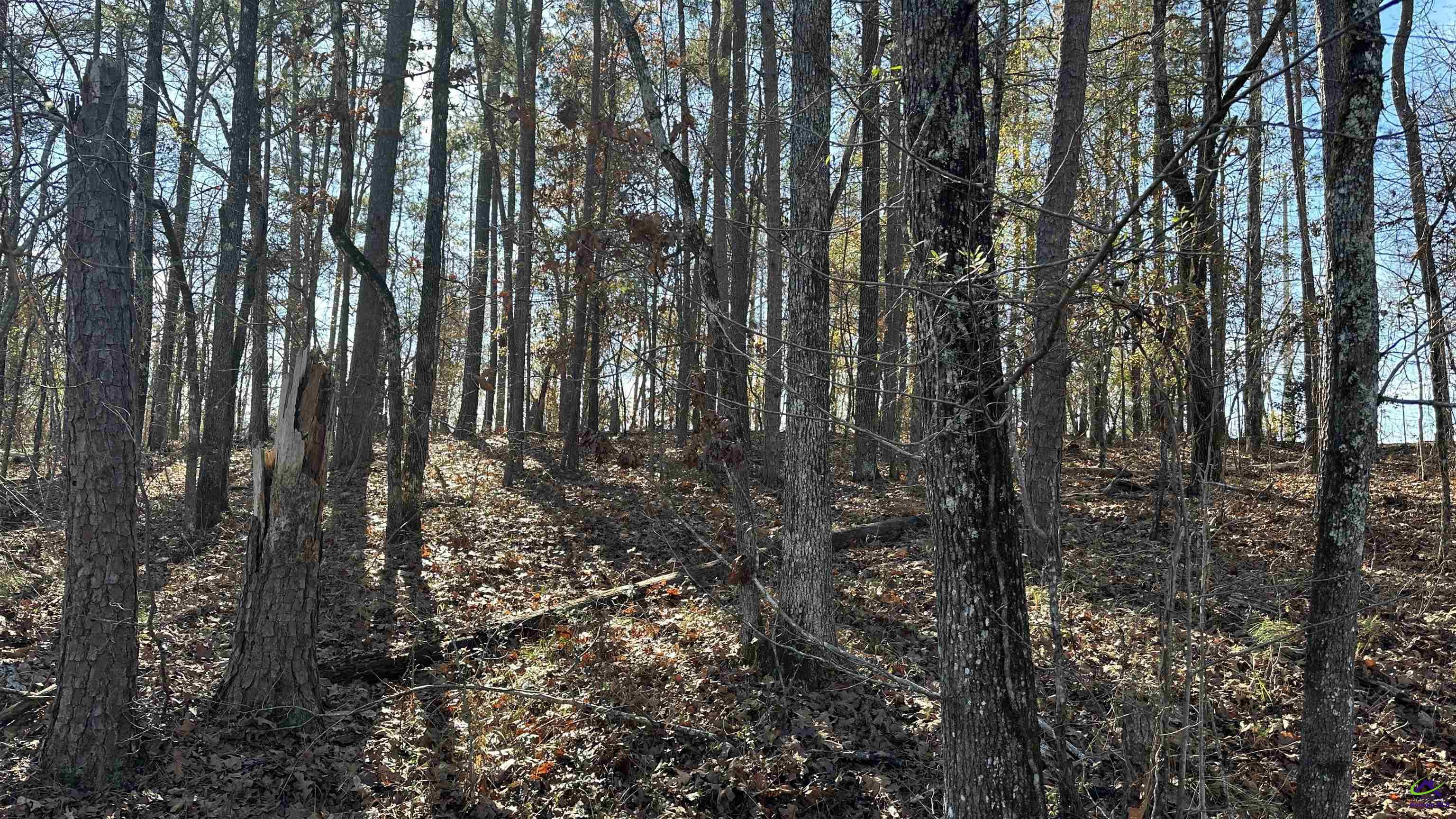 Lot 208 Anthemis Drive