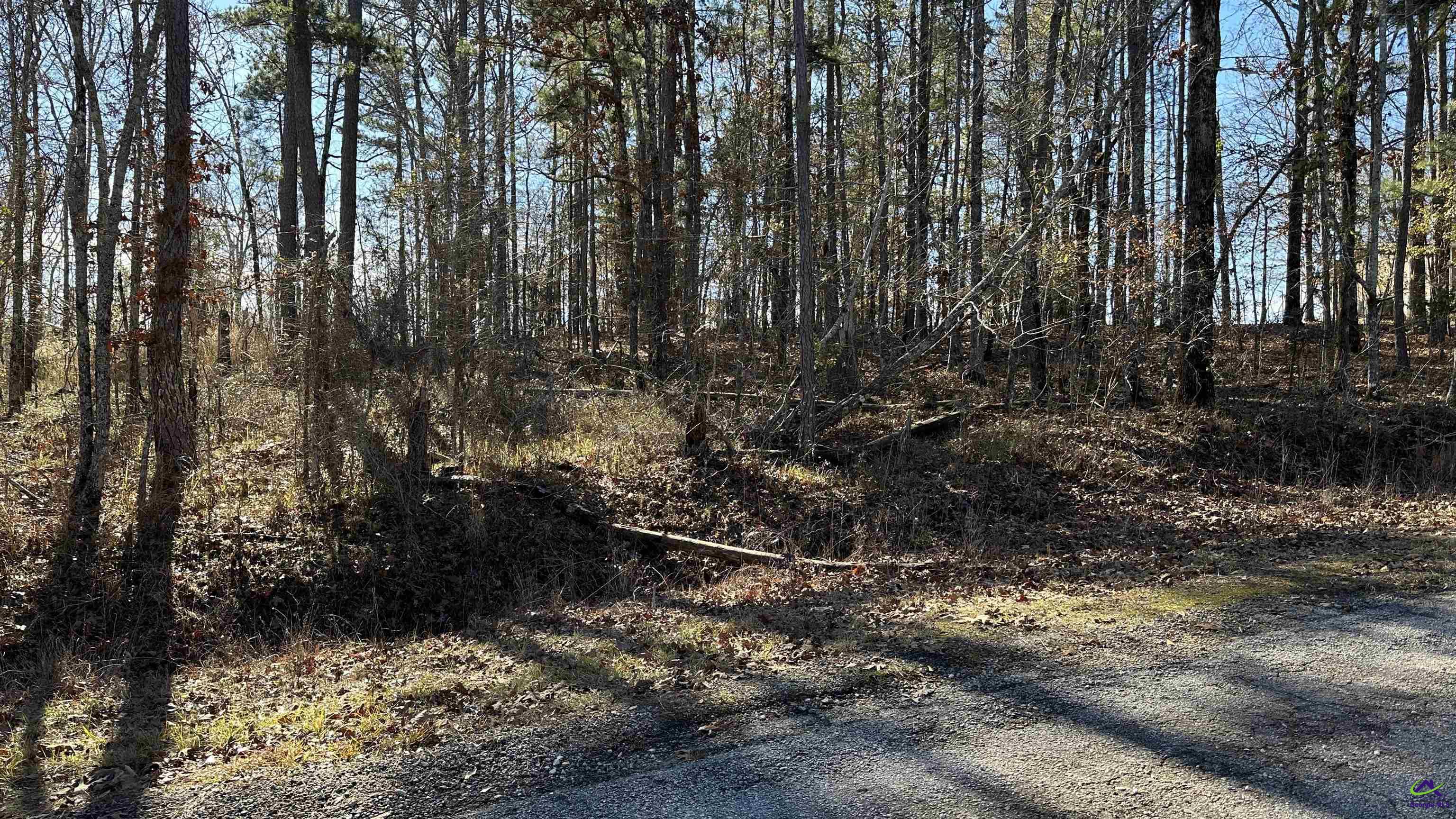 Lot 208 Anthemis Drive