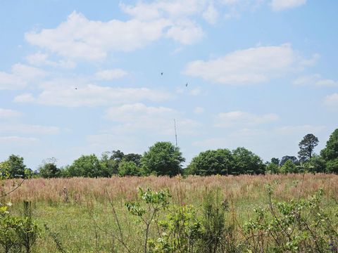 0 Lavender Rd Ivey GA 31031