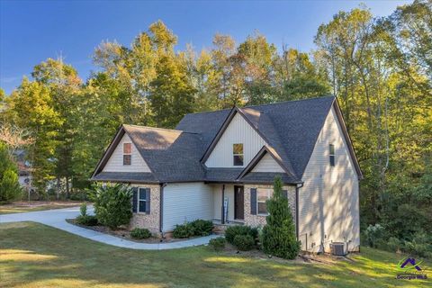 154 Liberty Trace Milner GA 30257