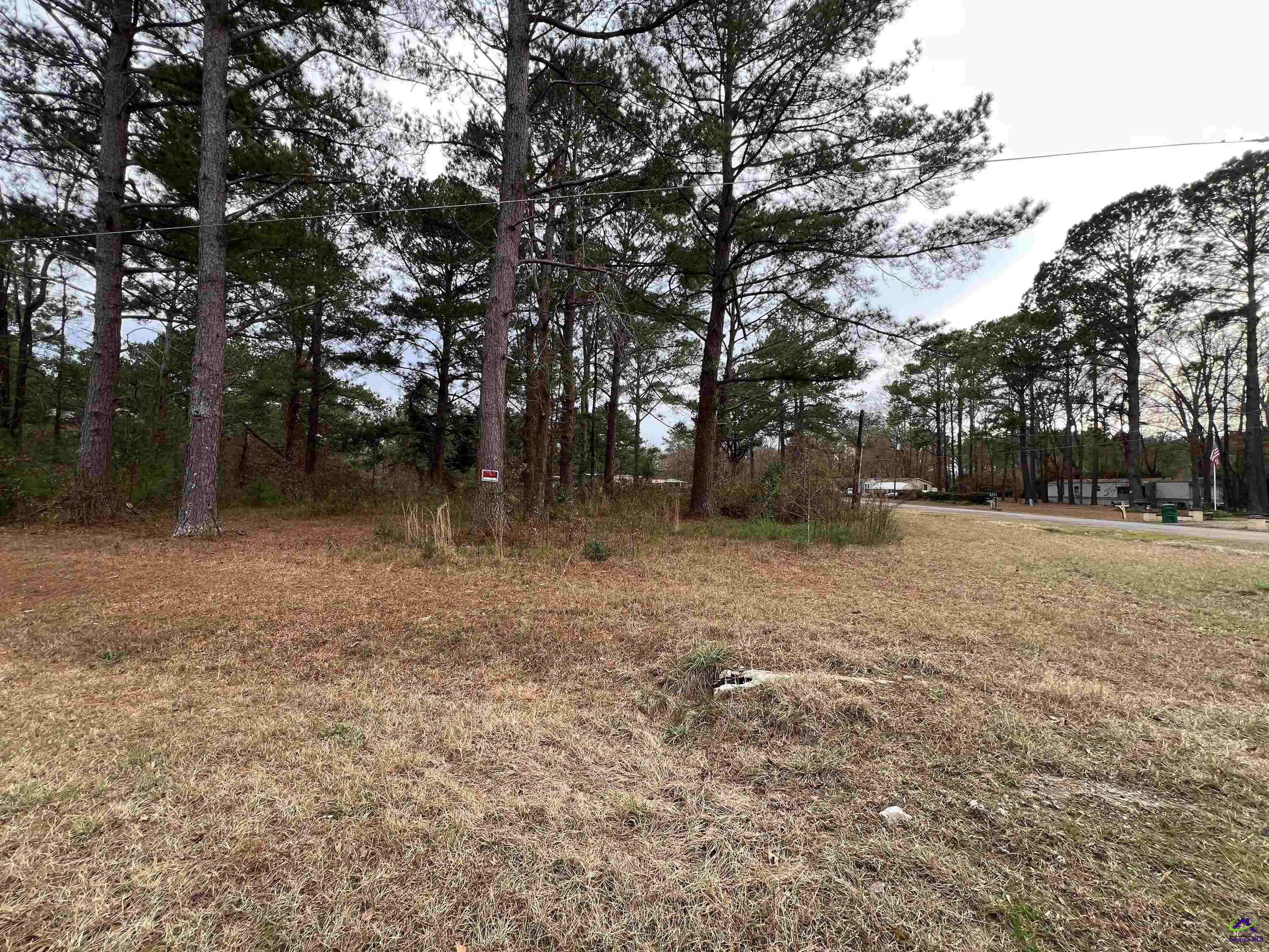 113 Persimmon Drive