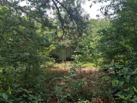 3054 Highway 96 Fort Valley GA 31030