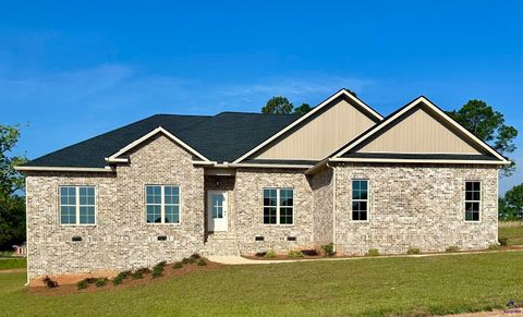 84 Camden Way Hawkinsville GA 31036