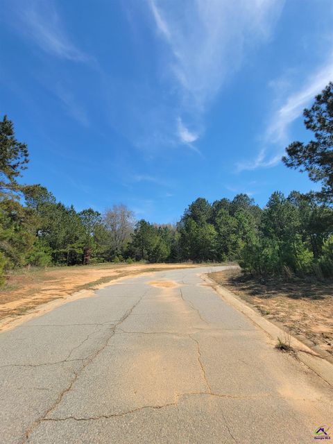 0 Progress Avenue Hawkinsville GA 31036