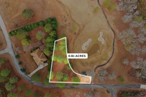 0 Crabapple Drive Hawkinsville GA 31036