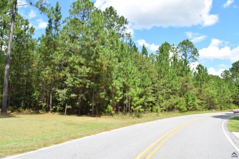 118 Woodlakes Drive Eastman GA 31023