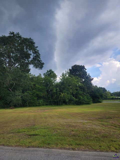 Progress Avenue Hawkinsville GA 31036