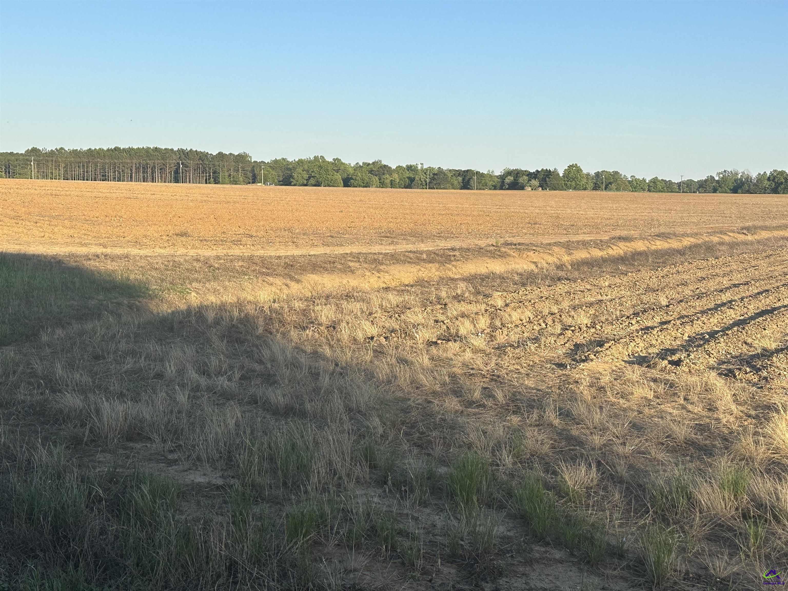 Lot# 15 SW Elko (5.61 acres) Road