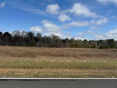 0 Whitfield Road Elko GA 31025