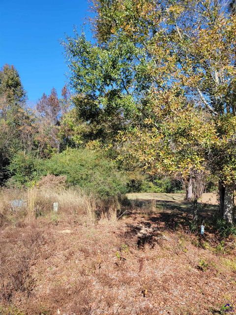 68 Aberdeen Circle Cordele GA 31015