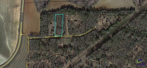Lot 3 Courtney Court Montezuma GA 31063