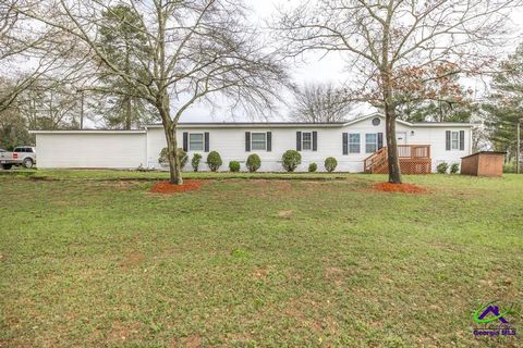 319 Pope Road Roberta GA 31078