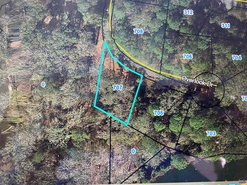 707 Overlook Drive Montezuma GA 31063