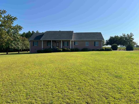 762 Nicholson Carr Road Chester GA 31012