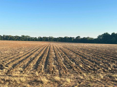 Lot# 4 SW (6.17 acres) Sewell Road Elko GA 31025