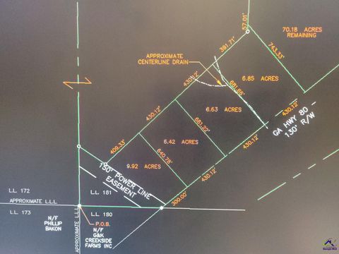 4087 E US-80 Highway Musella GA 31066