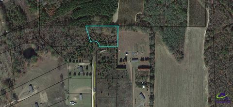 Lot 9 Sydney Lane Montezuma GA 31063