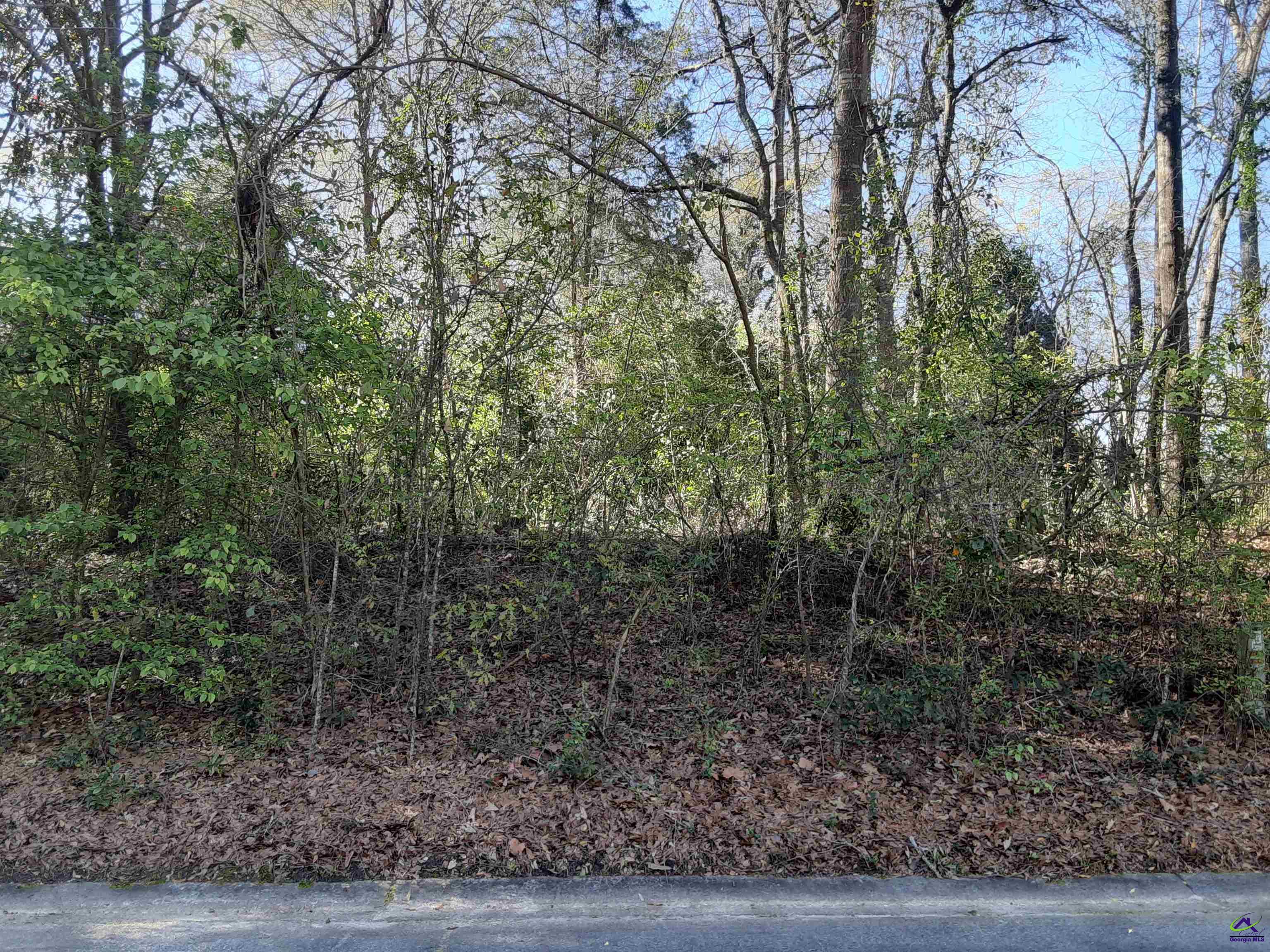 1376 Cambridge Drive