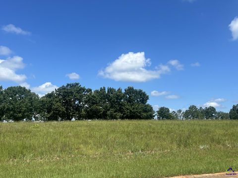 Lot 19 Camden Way Hawkinsville GA 31036