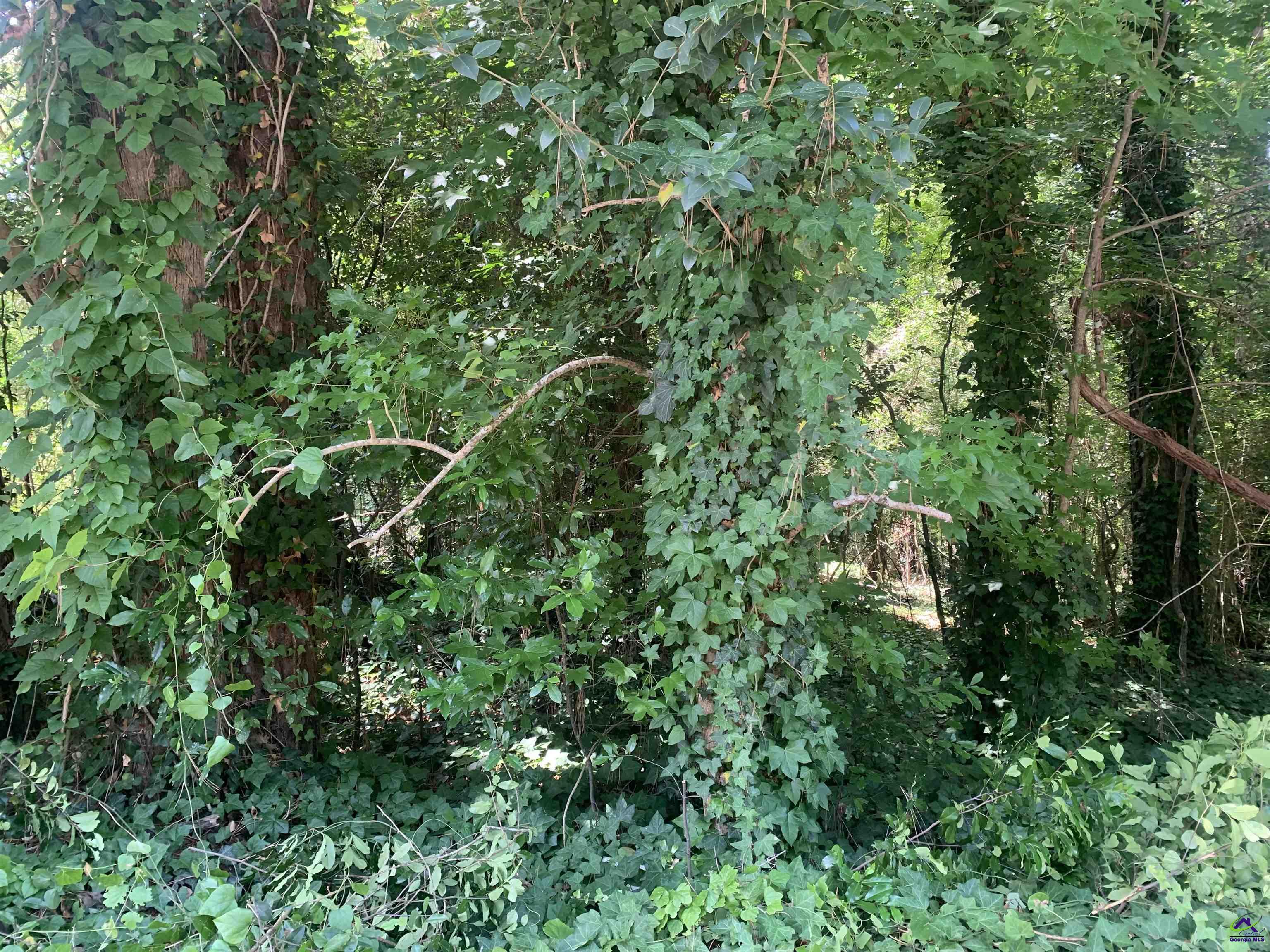 1171 Washington Street