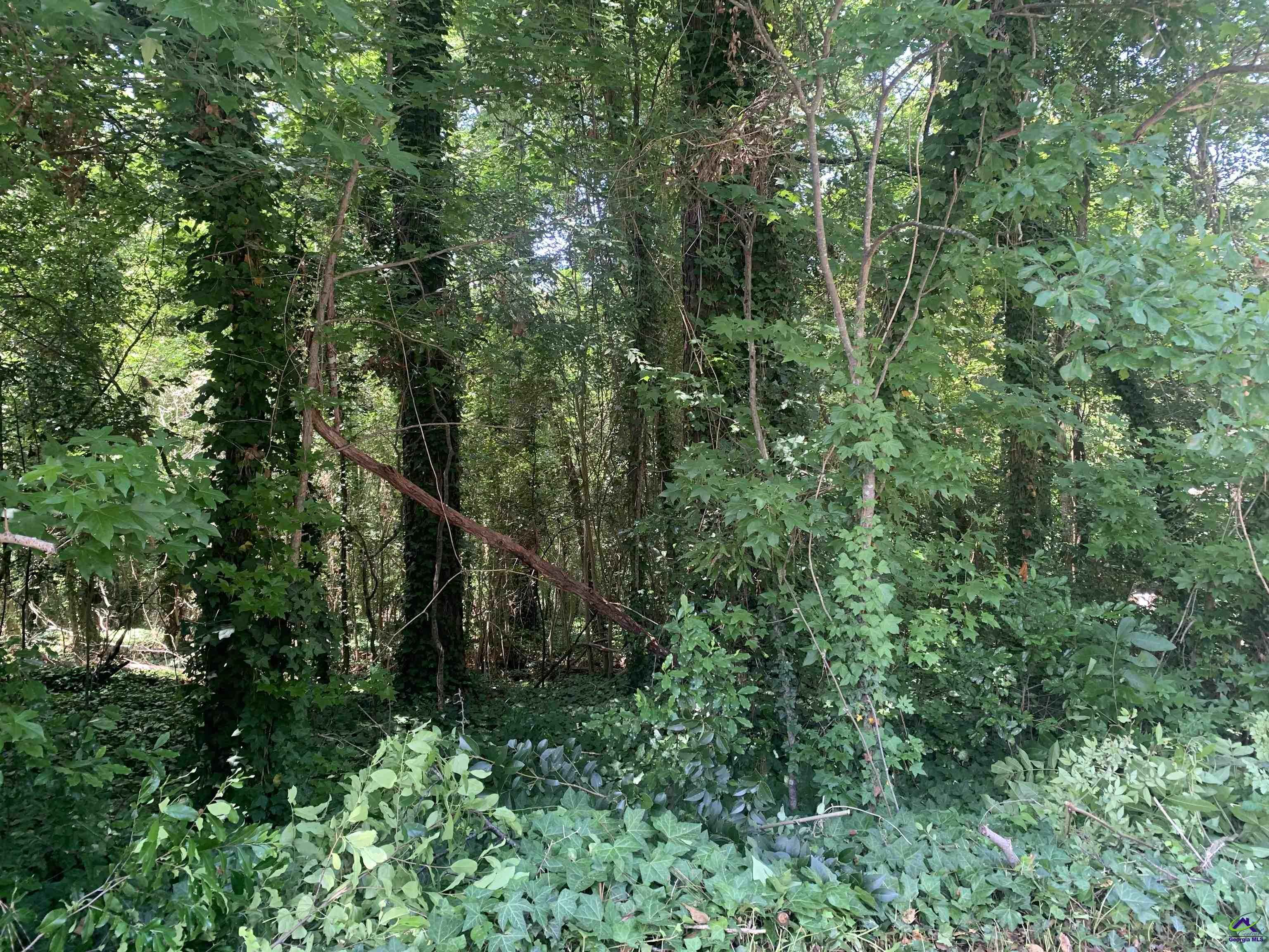 1171 Washington Street