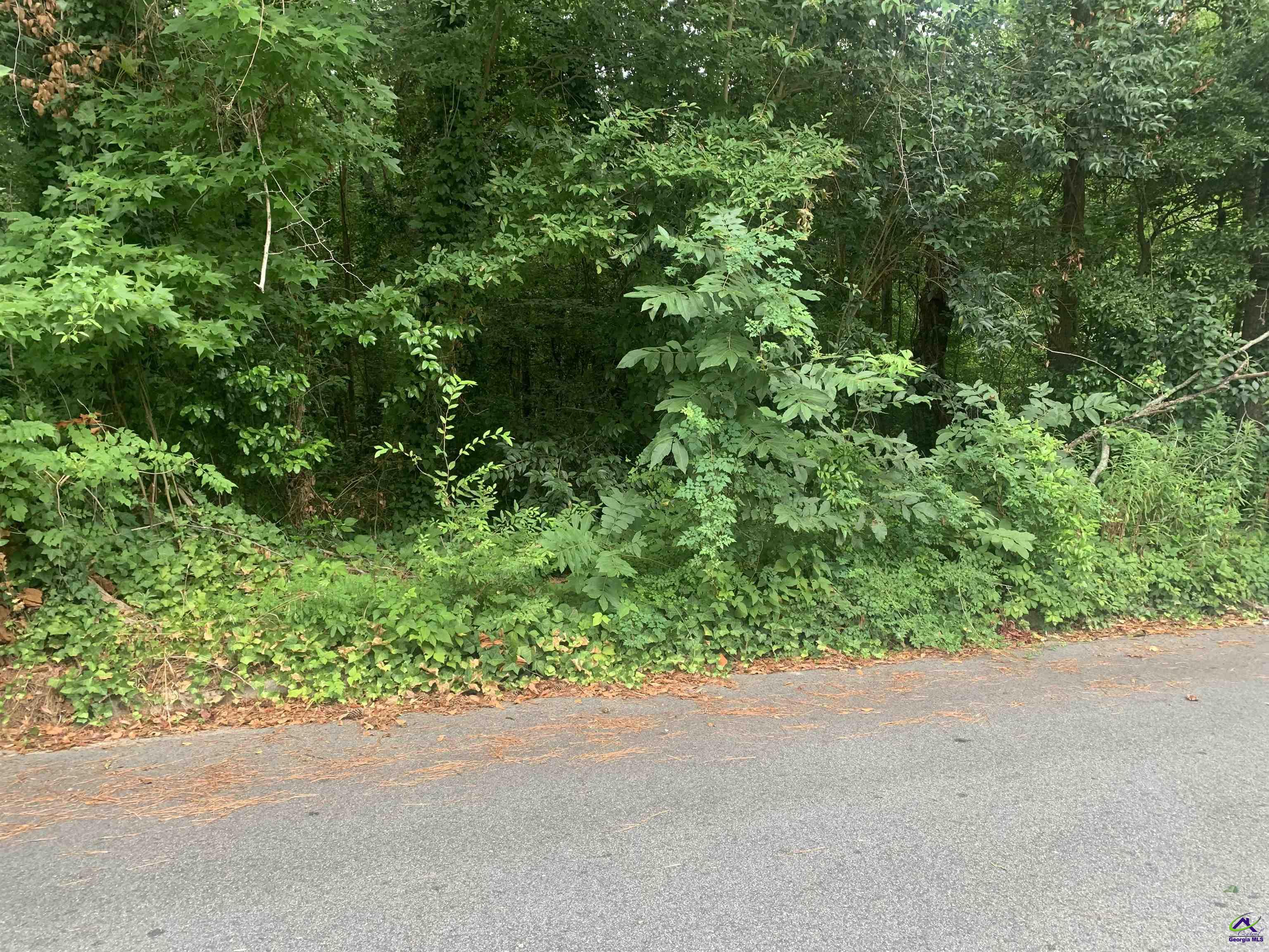 1171 Washington Street