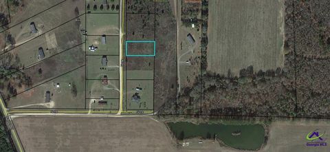 Lot 13 Sydney Lane Montezuma GA 31063