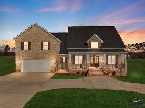 43 Crabapple Drive Hawkinsville GA 31036