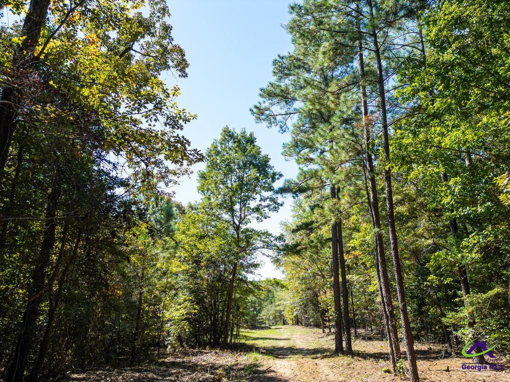 159 High Hill Street