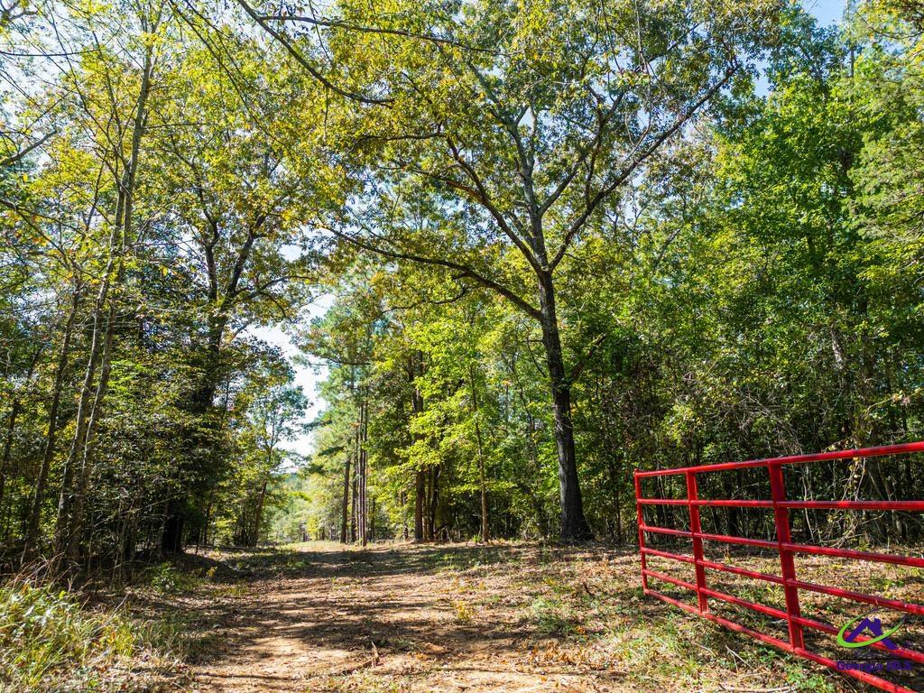 159 High Hill Street