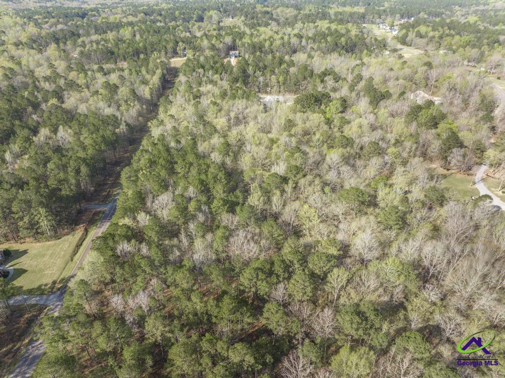 041 Hickory Lane