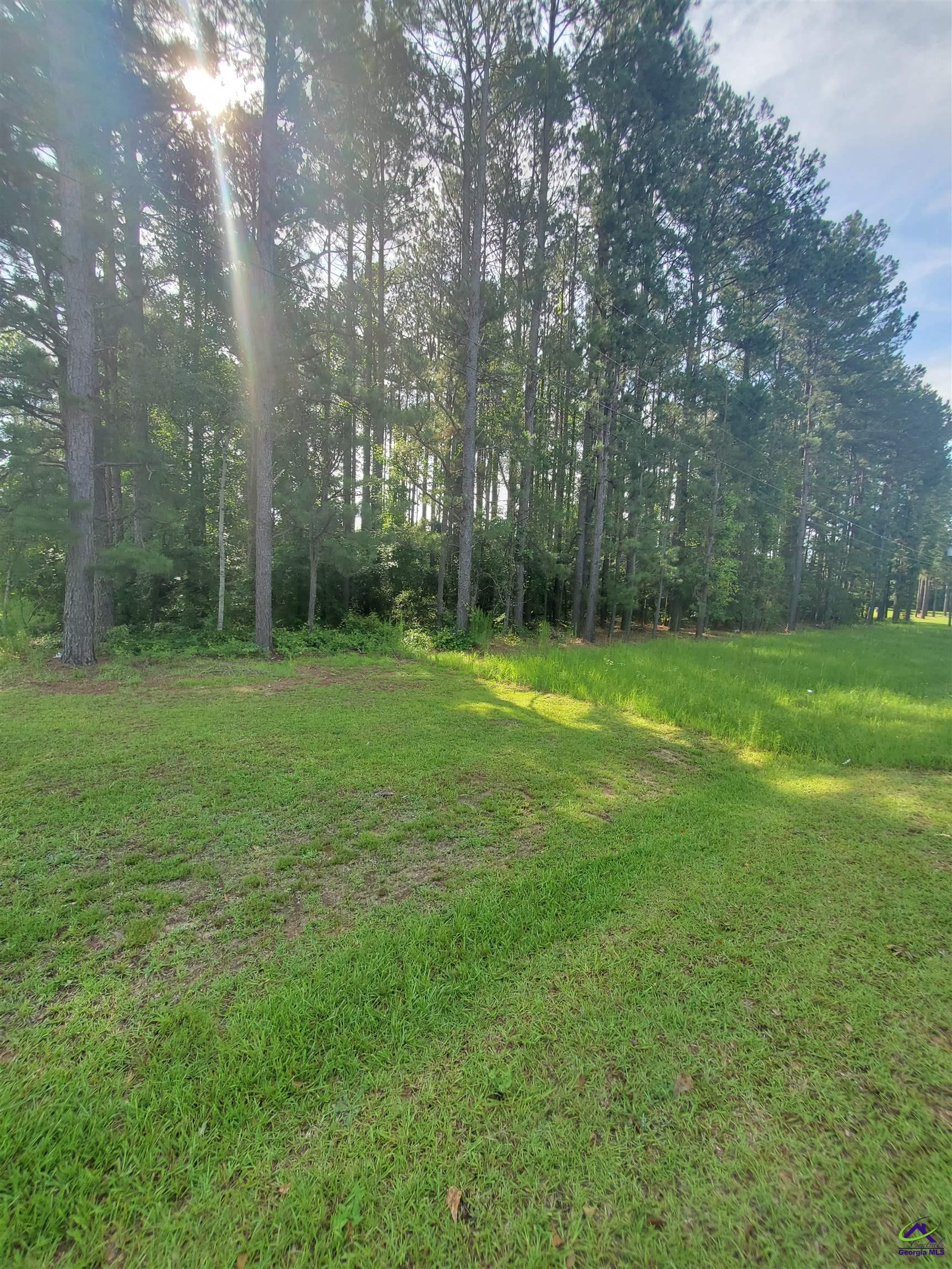 Willow Lake Road