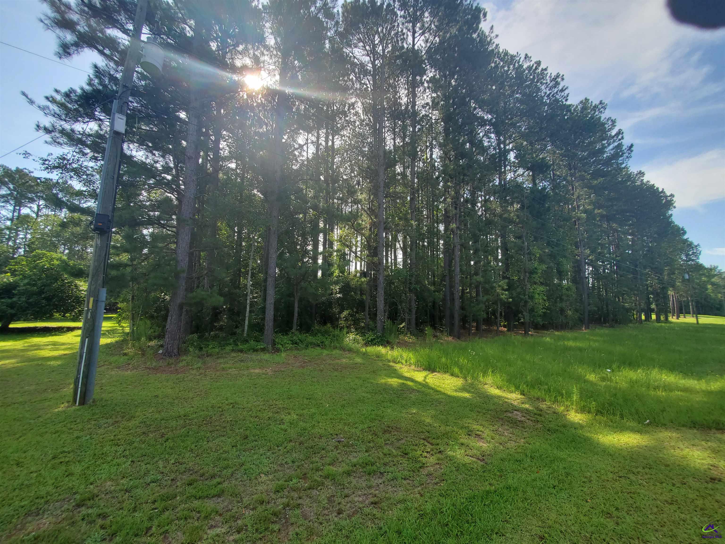 Willow Lake Road