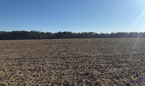 0 Whitfield Road Elko GA 31025