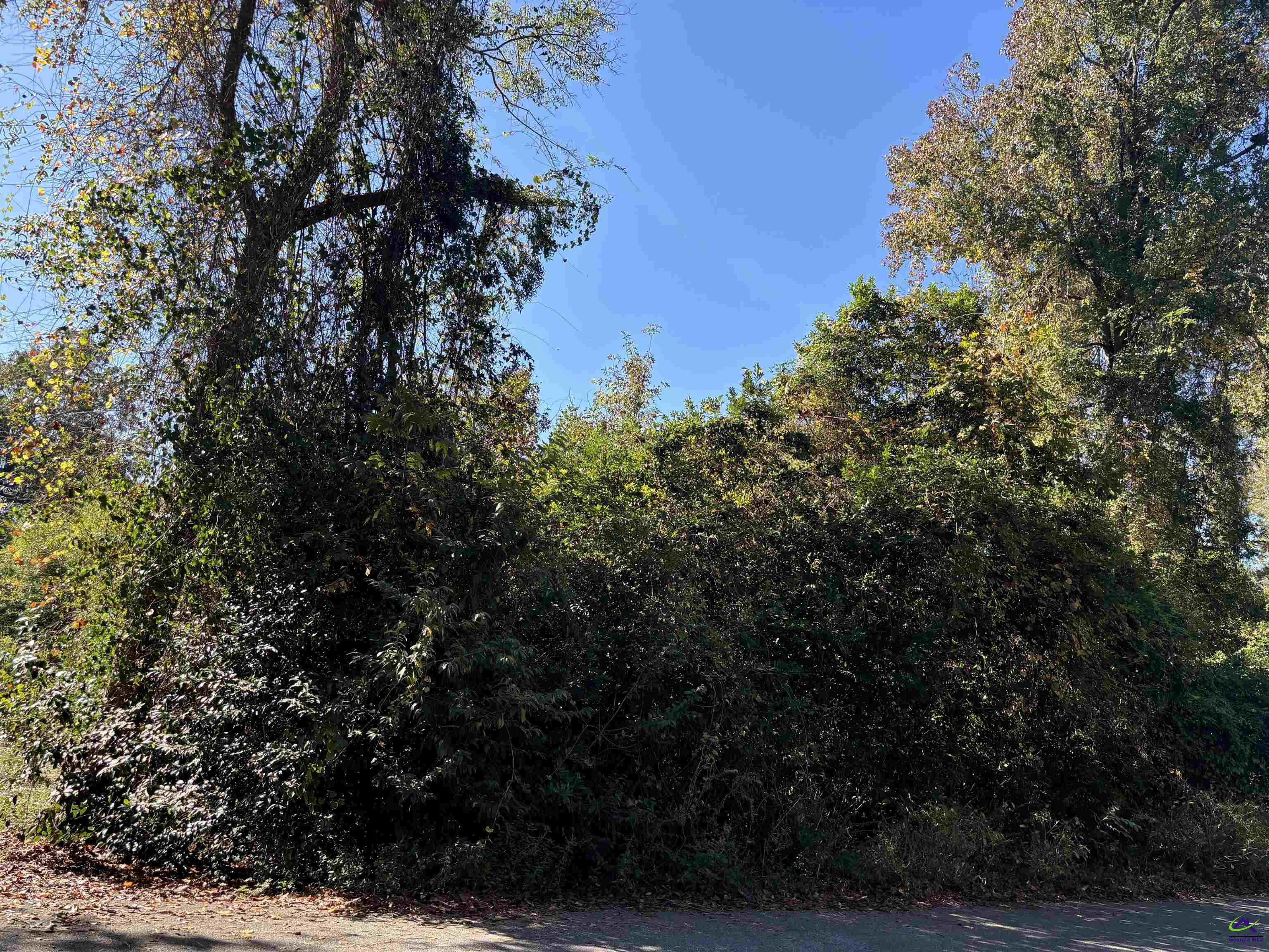 108 Ida Avenue