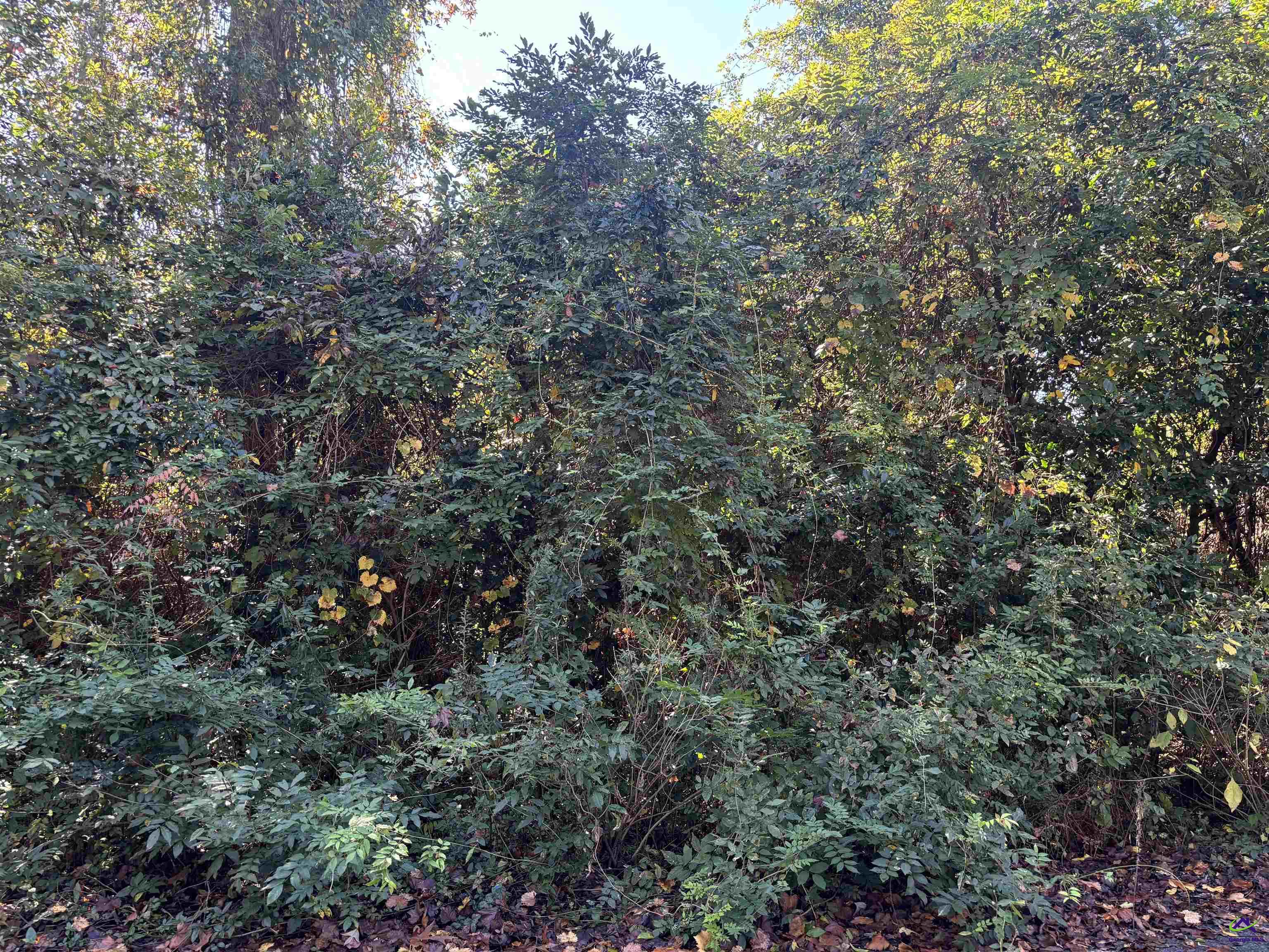 108 Ida Avenue