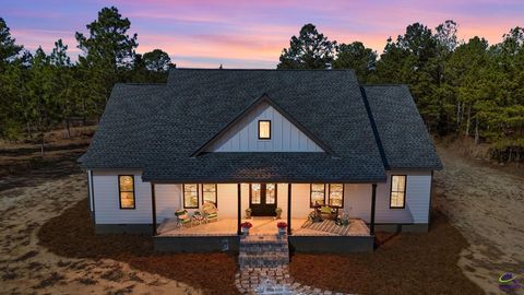 115 Watermelon Lane Mauk GA 31058