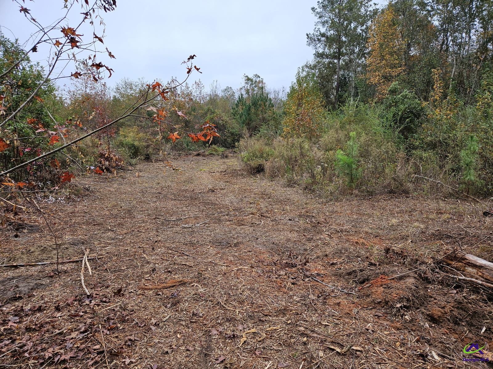 000 Willow Lake Road