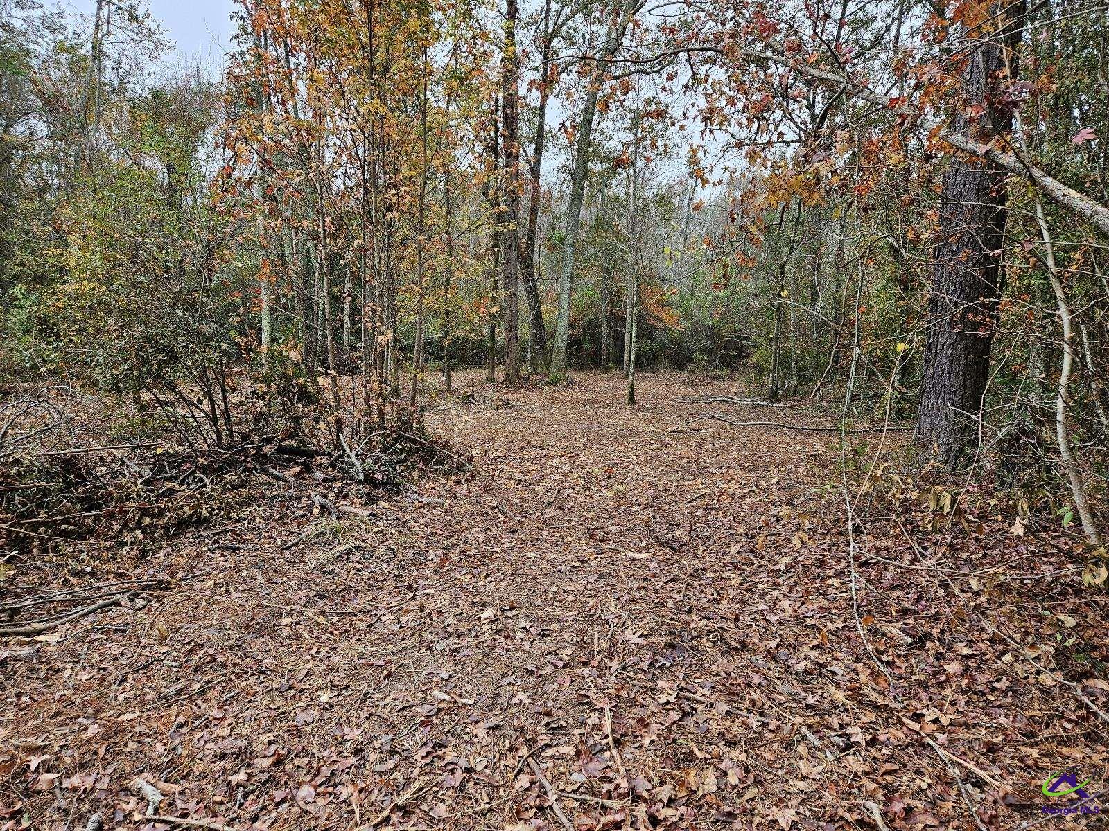 000 Willow Lake Road