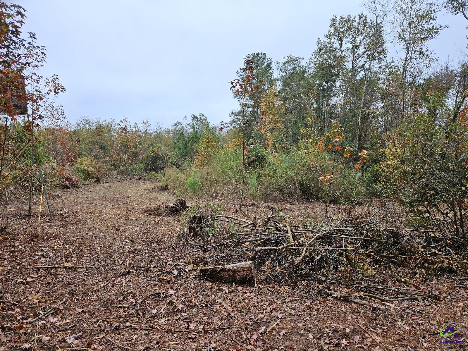 000 Willow Lake Road