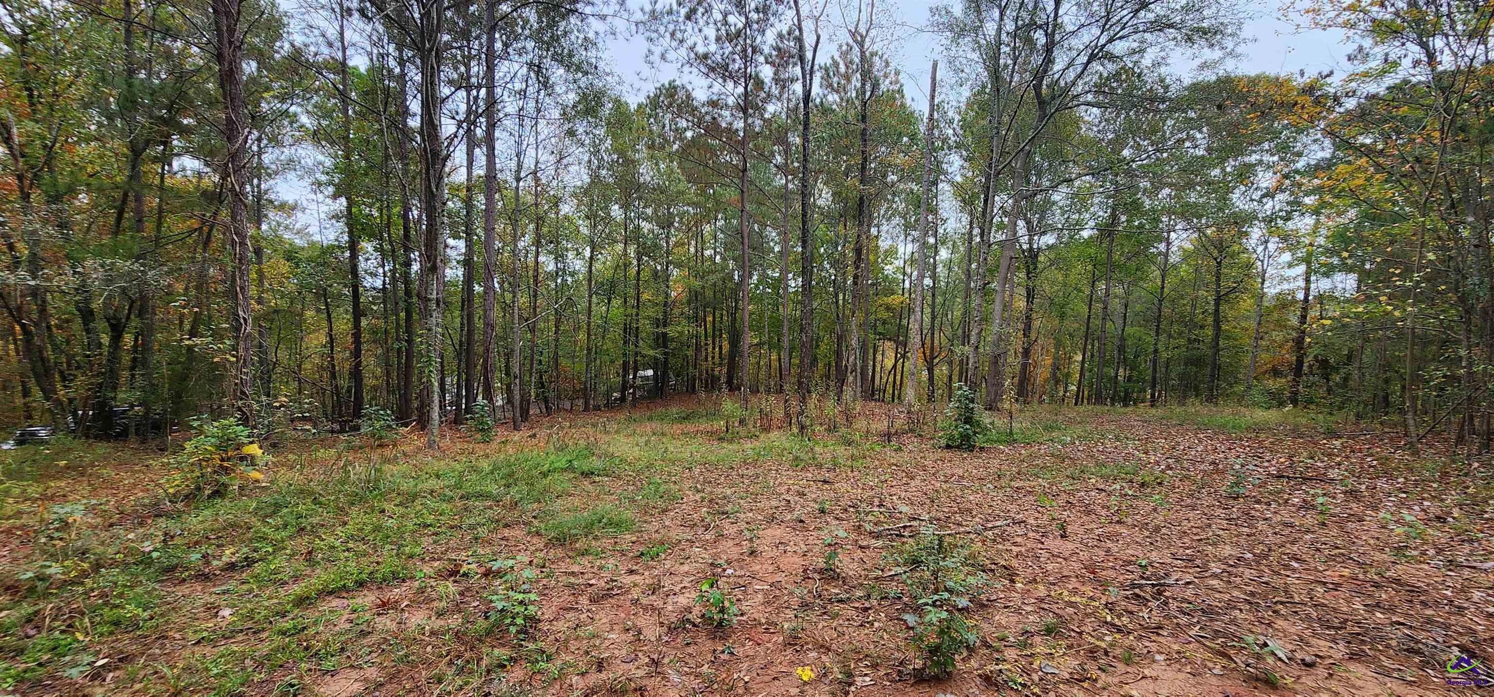 18 E Mourning Dove Court