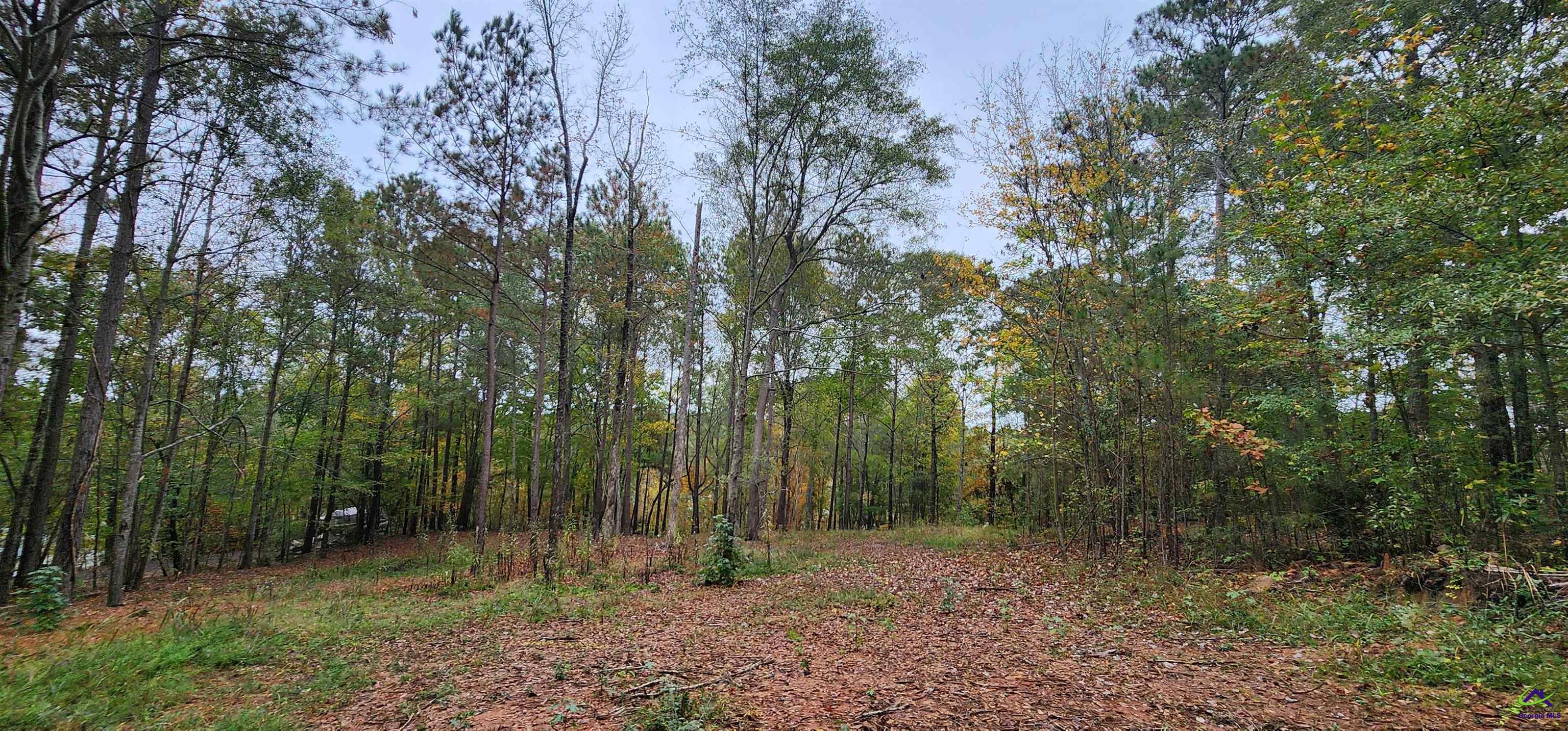 18 E Mourning Dove Court