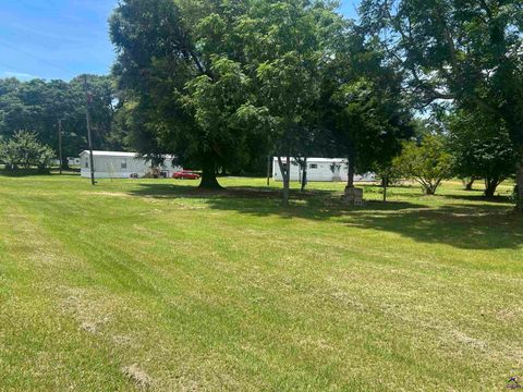 18 Capital Square Drive Hawkinsville GA 31036