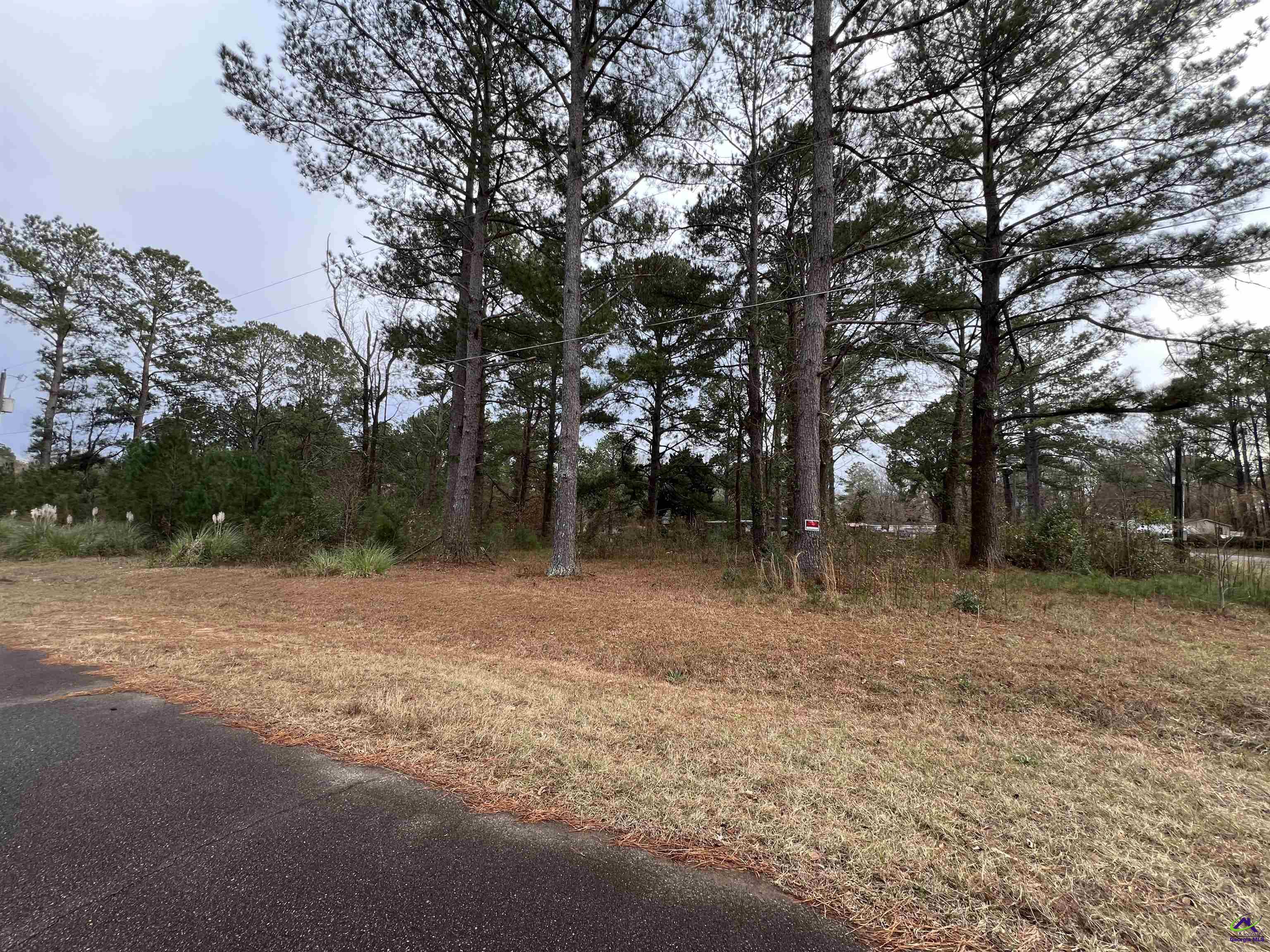 109 Persimmon Drive